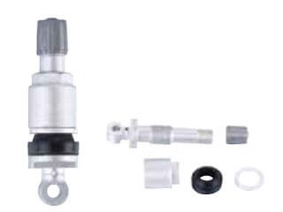 TPMS-11