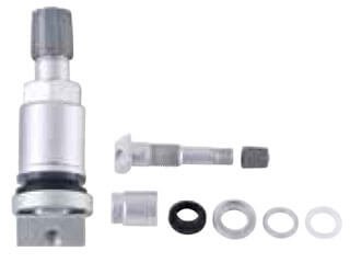 TPMS-21