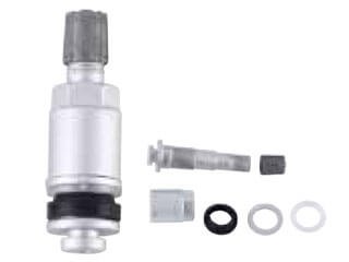 TPMS-22