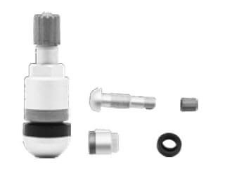 TPMS-31
