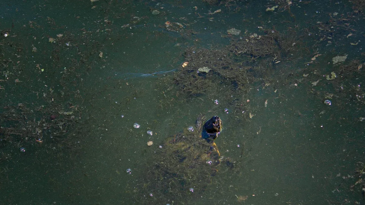 The Hidden Environmental Costs of Lead Wheel Weights 2 Environmental Impact of Lead Wheel Weights