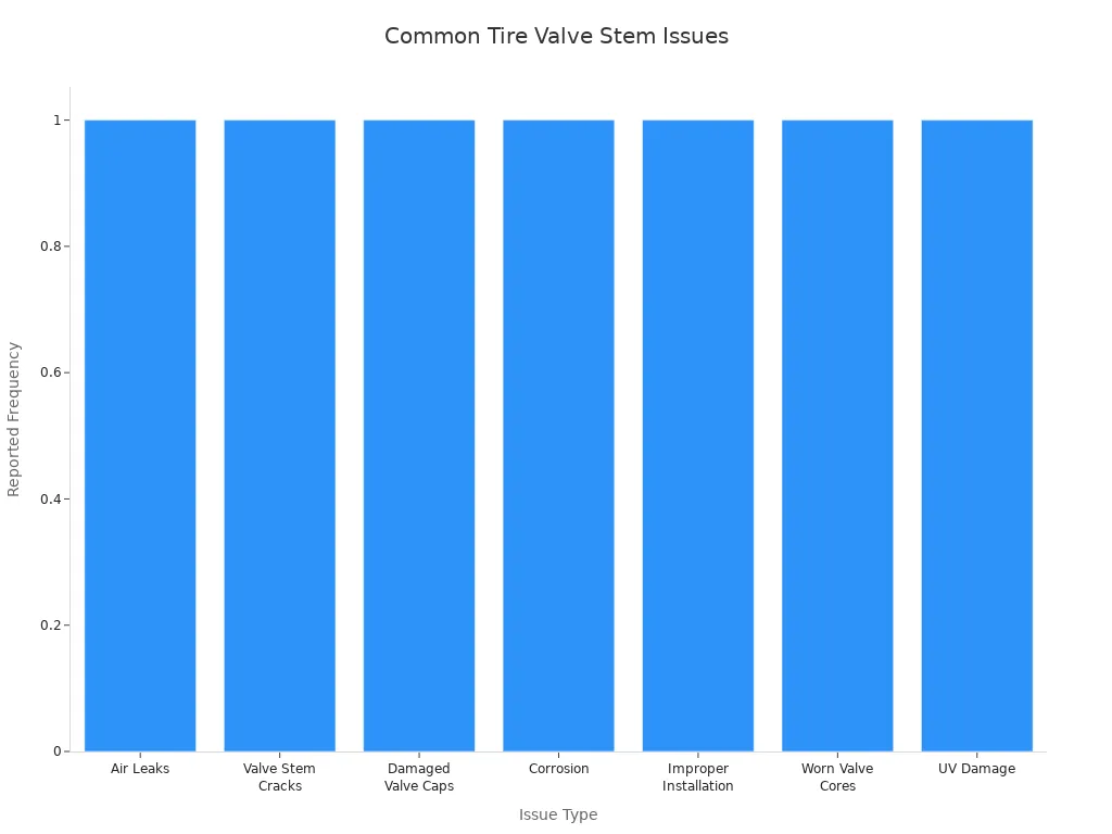 Valve Stem Rubber Always Delivers Reliable Tire Pressure 4 Bar chart showing common issues from neglected tire valve stem maintenance