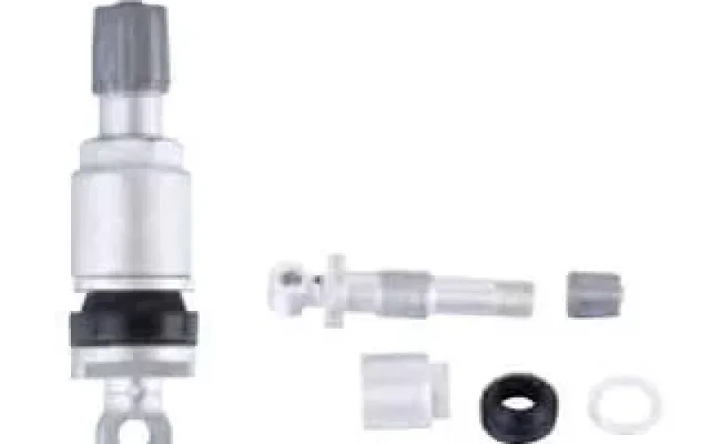 tire sensor valve2